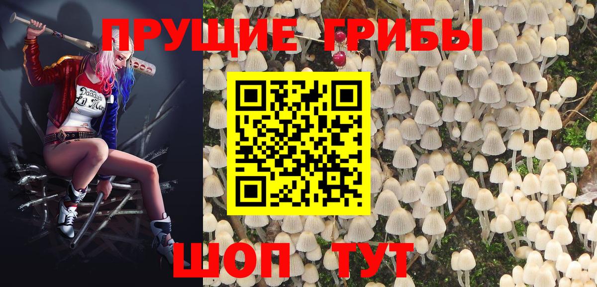 Галлюциногенные грибы Psilocybine cubensis  Галлюциногенные грибы Psilocybe  Азнакаево  наркота  Вход с VPN 