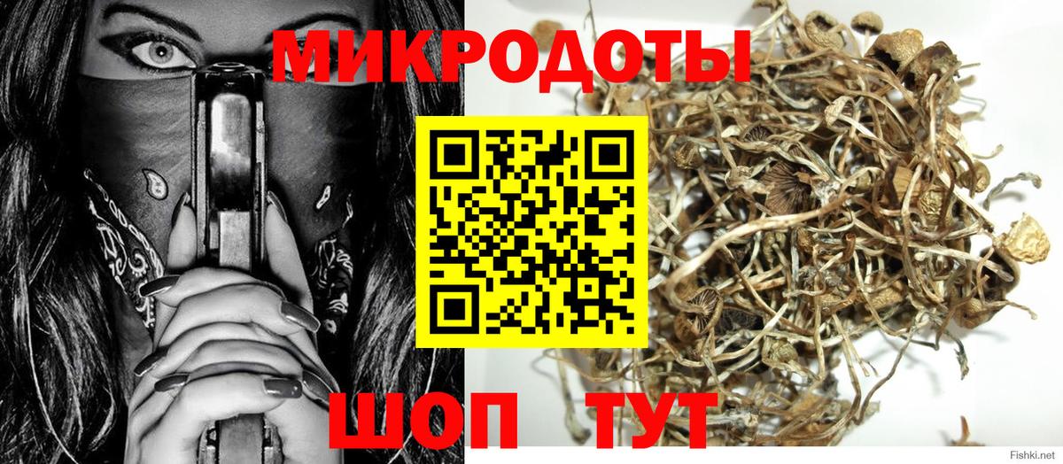 Псилоцибиновые грибы MAGIC MUSHROOMS Азнакаево